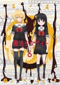 魔法少女サイト 第6巻.jpg